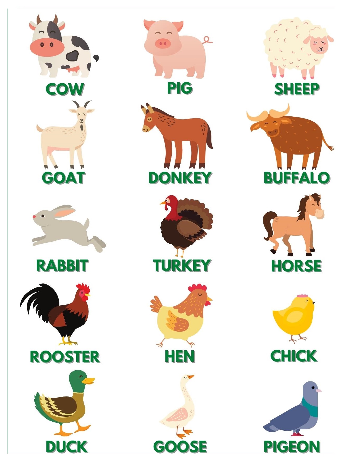 English dictionary - Farm animals